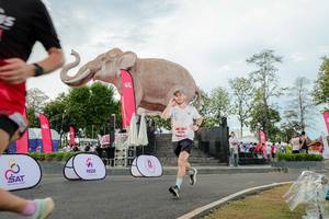 BIB: 
                            <button type="button" onclick="openModal(26528454)" class="btn btn-primary btn-sm float-right btn-popup" data-toggle="modal" data-target=".modal-high-quality">
                        <i class="fas fa-shopping-cart"></i> Add to Cart
                    </button>
                                            <button type="button" onclick="isThisMe(26528454, true)" class="btn btn-success btn-sm float-right btn-popup btn-isme hidden" data-toggle="tooltip" data-placement="bottom" title="นี่คือรูปของคุณใช่ไหม คลิกที่นี่เพื่อเอาเข้าอัลบั้ม">
                        <i class="fas fa-plus"></i> Add to album
                    </button>
                    <button type="button" onclick="isThisMe(26528454, false)" class="btn btn-warning btn-sm float-right btn-popup btn-isnotme hidden">
                        <i class="fas fa-ban"></i> Remove from album
                    </button>